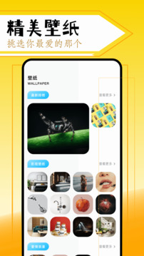 美剧鸟app正版手机下载下载