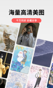 堆糖软件下载免费手机版