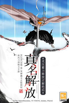 境界死神激斗无限魂玉版截图5