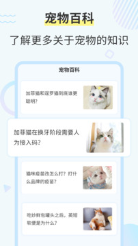 猫咪交流翻译器免费版2026下载