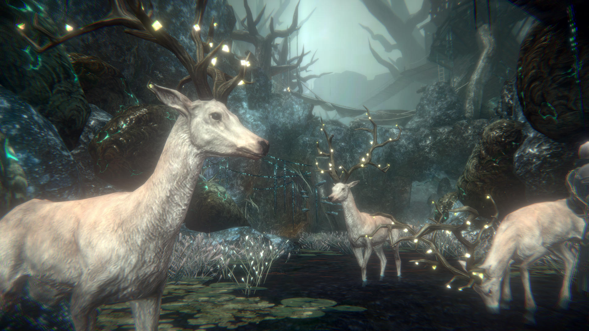 帕斯卡契约下载完整版(暂无资源)截图5