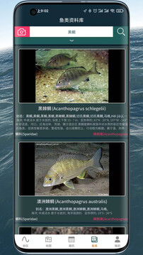 潮汐表精灵正版安装下载VIP版