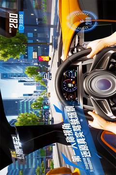 真实公路汽车2手机版截图2