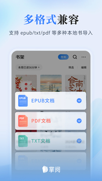 掌阅小说免费版截图3