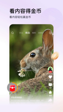 头条搜索极速版免费版截图5