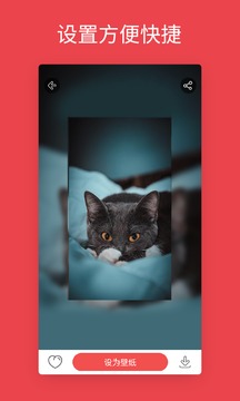 安卓动态壁纸手机版下载安装截图1