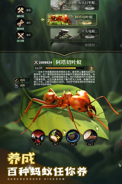 小小蚁国内置菜单版下载截图1